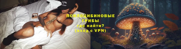 гидра Козельск