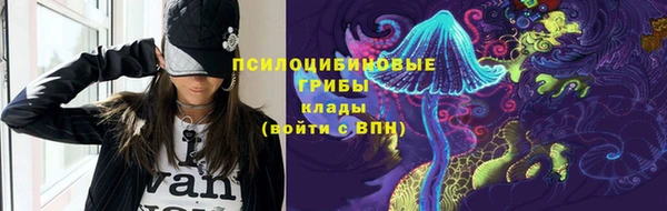 гидра Козельск