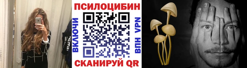 Псилоцибиновые грибы Psilocybine cubensis  Коломна 
