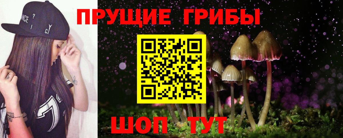 Галлюциногенные грибы MAGIC MUSHROOMS  Псилоцибиновые грибы мухоморы  Вход с VPN  Коломна 